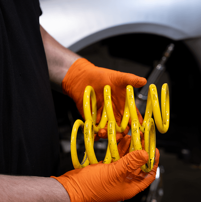 Mobile Detailing - Paint Correction